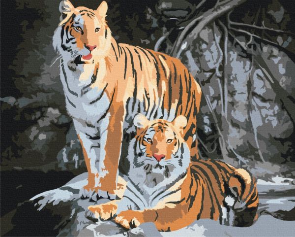 Премиуи картина по номерам "Дикие тигры"