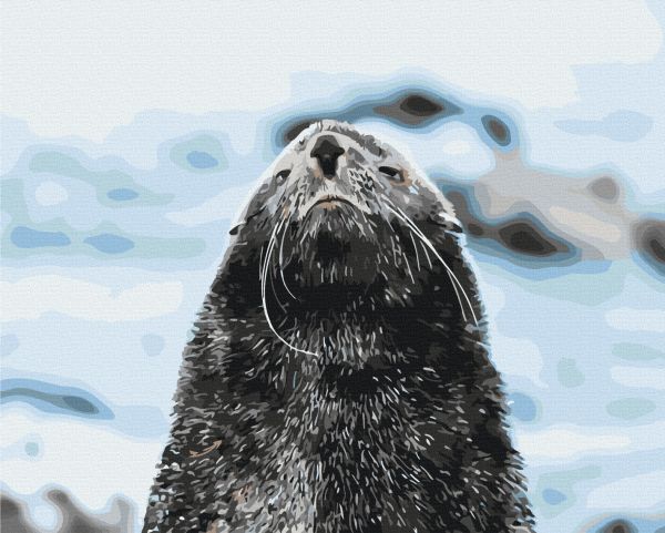 Картина по номерам "Морской котик © Сергей Глотов"