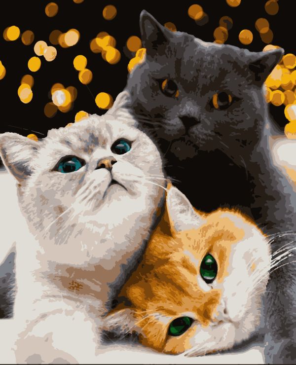 Картины по номерам "Котики-муркотики" 40*50 см
