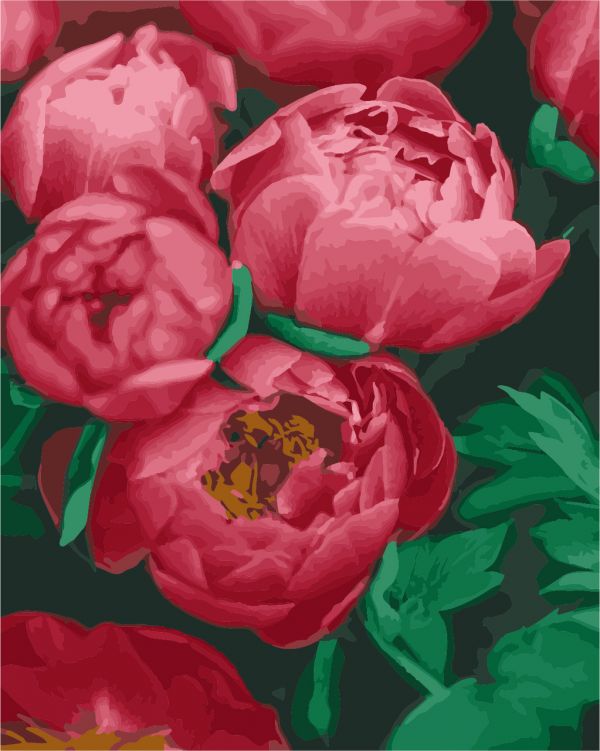 Картина по номерам ArtStory Красные пионы 40*50см