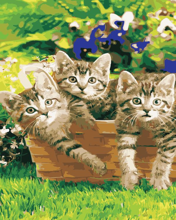 Картина по номерам ArtStory Котята в саду 40*50см