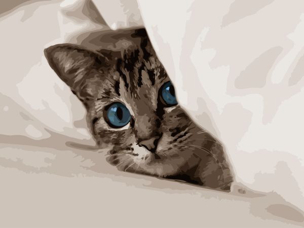 Картина по номерам ArtStory Кот под одеялом 30*40см