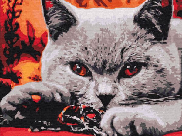 Картина по номерам "Домашний хищник"