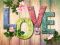Алмазная вышивка алмазная мозаика Love 30x40 OG00109SS