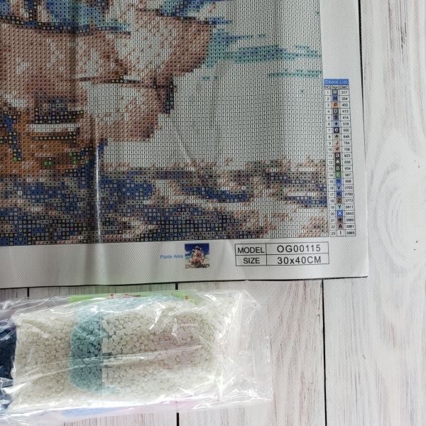Алмазная вышивка алмазная выкладка Ассоль 30x40 OG00115SS