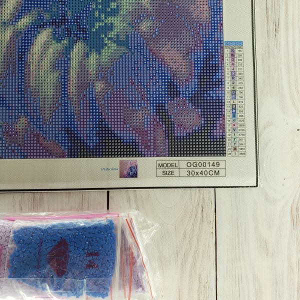 Алмазная вышивка алмазная мозаика Макро Хризантема 30x40 OG00149SS