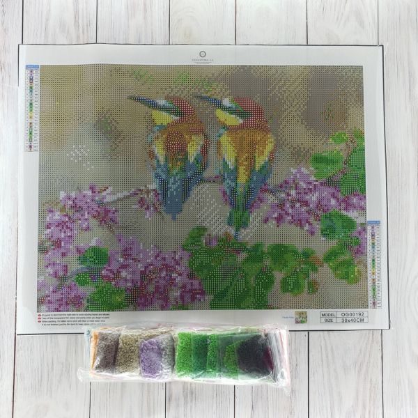 Алмазная вышивка алмазная выкладка Экзотические птички 30x40 OG00192SS