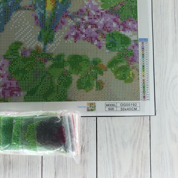 Алмазная вышивка алмазная выкладка Экзотические птички 30x40 OG00192SS