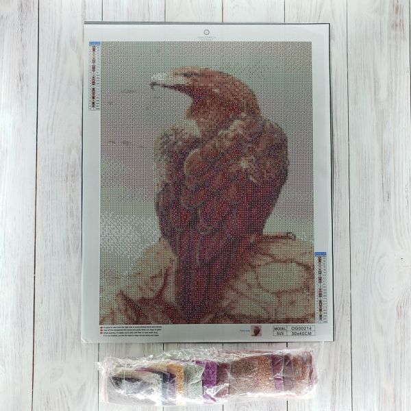 Алмазная вышивка алмазная мозаика Орёл на охоте 40x30 OG00214SS