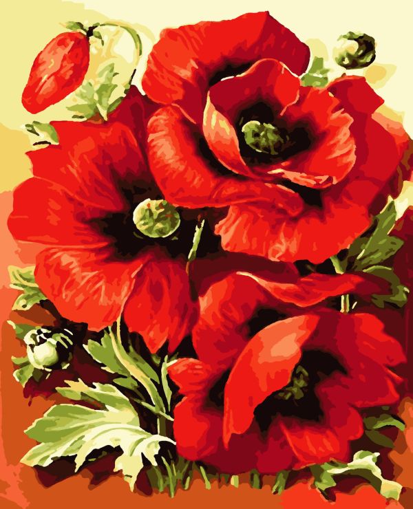 Картины по номерам "Яркие маки" 40*50см