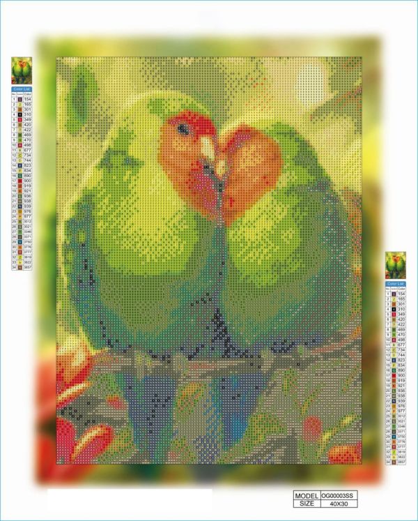 Алмазная мозаика алмазная вышивка Попугайчики 40x30 OG00003SS