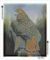 Алмазная выкладка алмазная мозаика Хищная птица 50x40 OG00241SB
