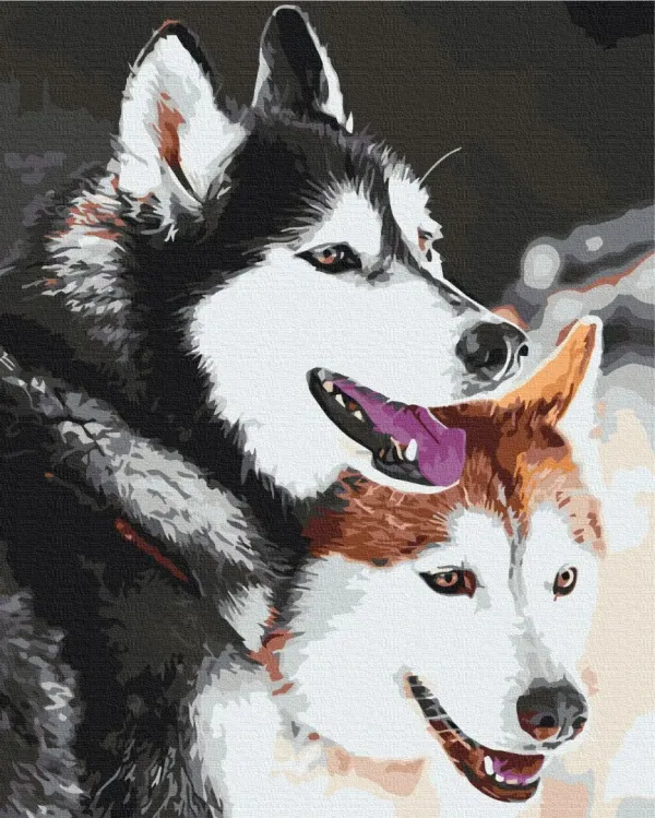 Картина за номерами "Хаскі" BS28714 40×50 см