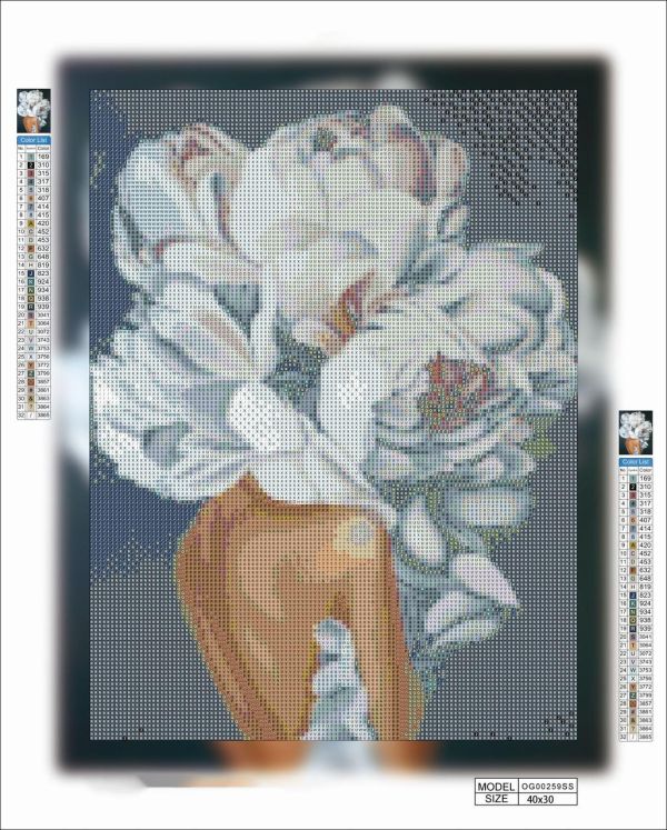 Алмазная выкладка алмазная вышивка Девушка с цветами №10 40x30 OG00259SS