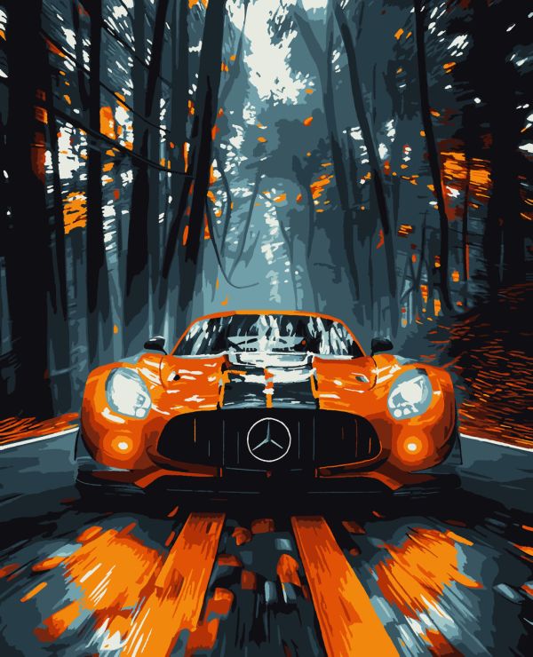 Картины по номерам "Мерседес" 40*50 см