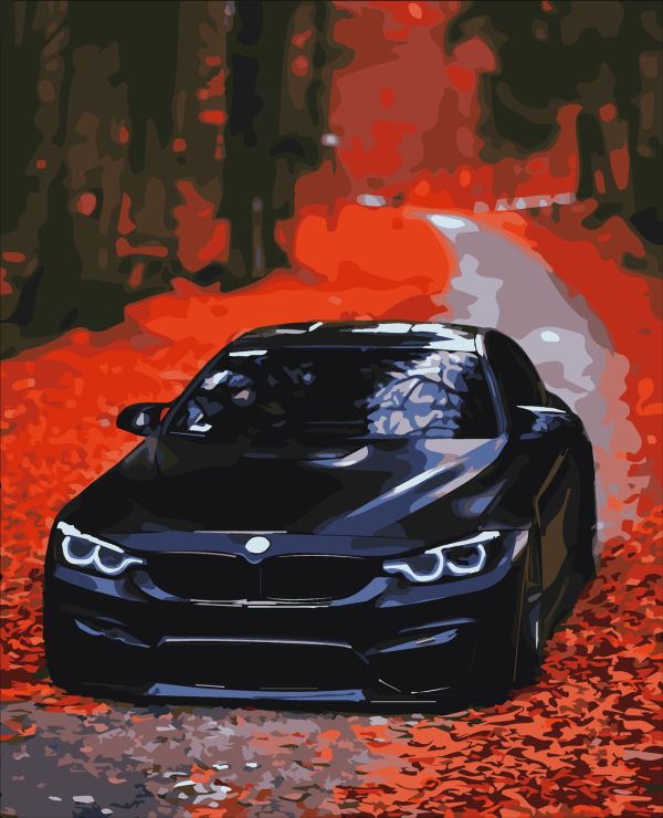 Картины по номерам "BMW" 40*50 см