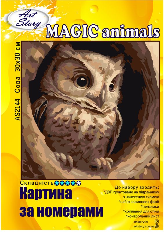 Картина за номерами 30*30см "Сова"