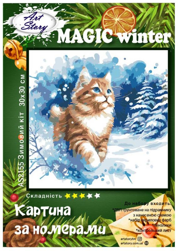 Картина за номерами 30*30см "Зимовий кіт"