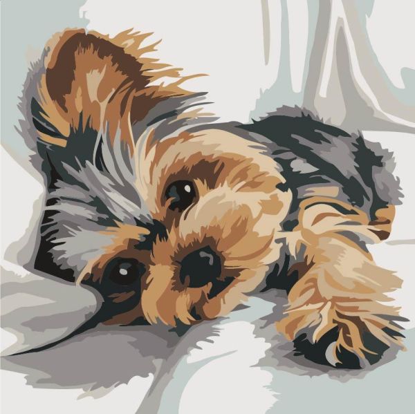 Картина за номерами 30*30см "Йорк"
