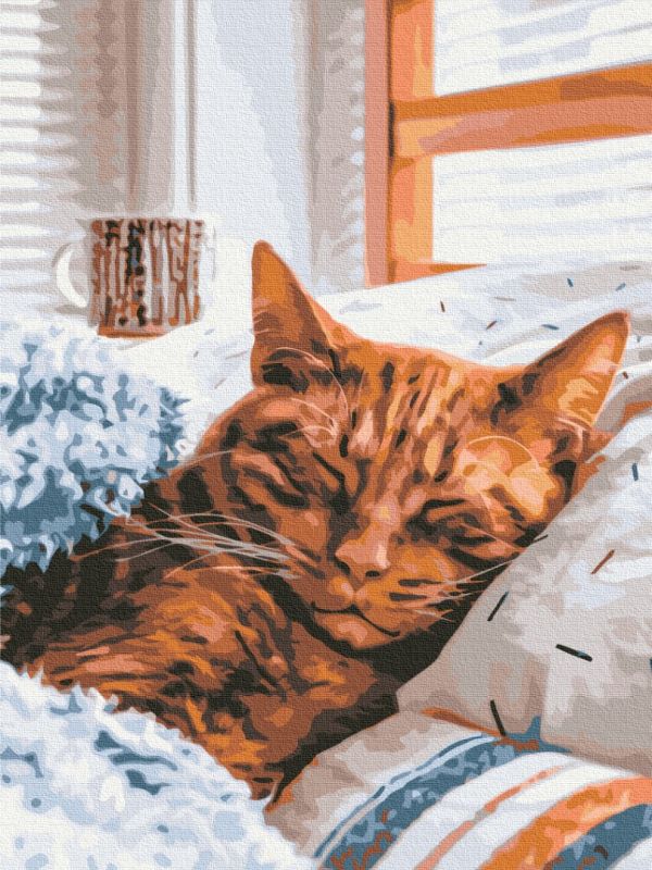 Картина по номерам "Утренний котик"