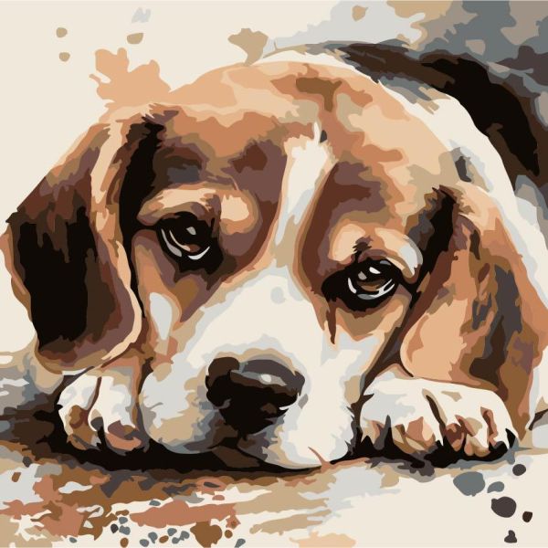 Картина за номерами 30*30см "Гарнюня бігль"