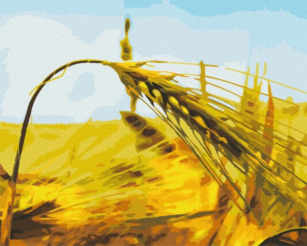 Картина по номерам "Ржаной колос"