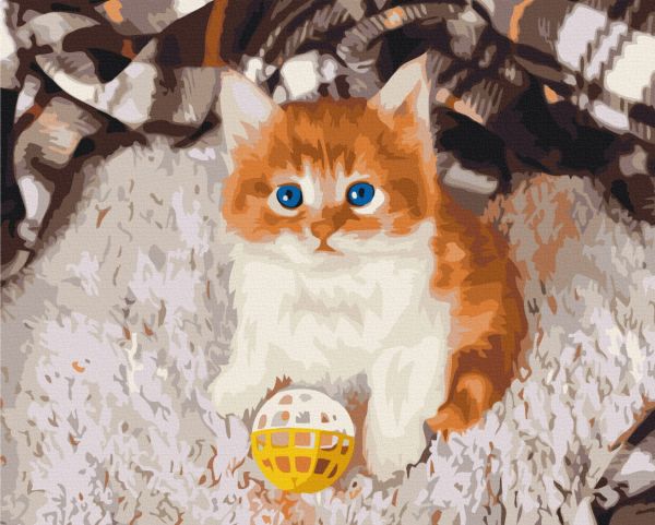 Картина по номерам "Игривый котенок"