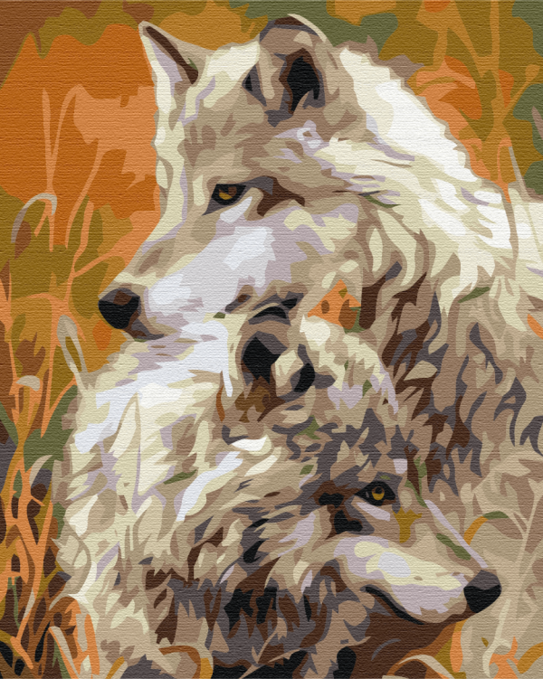 Картина по номерам "Пара степных волков"