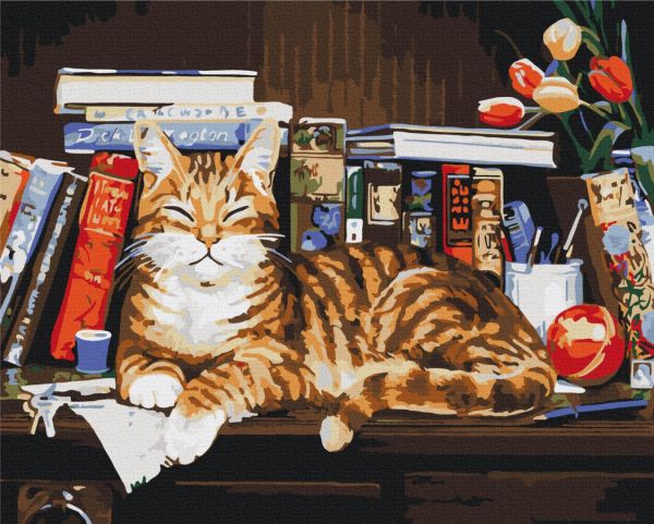 Картина по номерам "Кот на книжной полке"