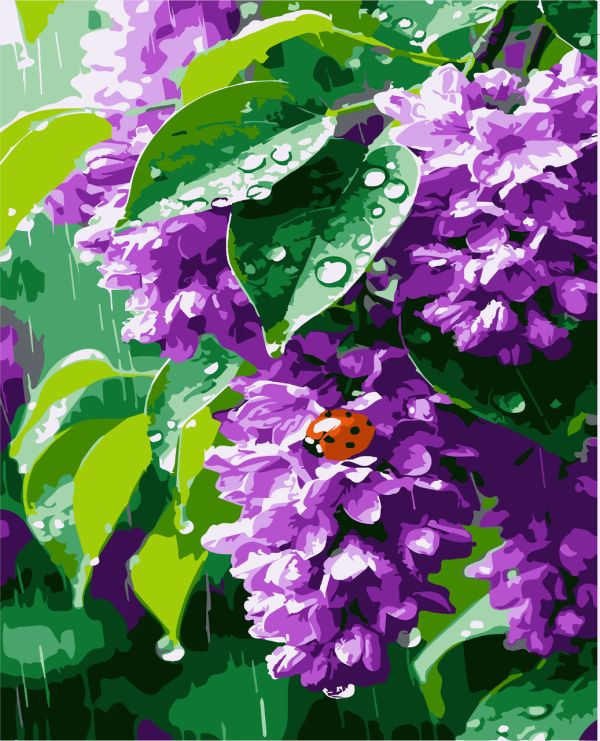 Картини за номерами "Бузок" 40*50см