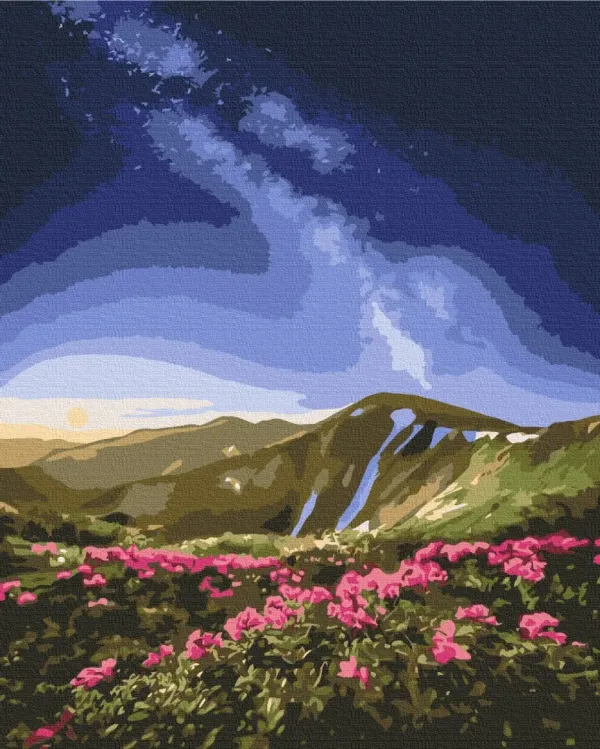 Картина за номерами "Чорногора © Roksolana Baran" BS53753 40×50 см