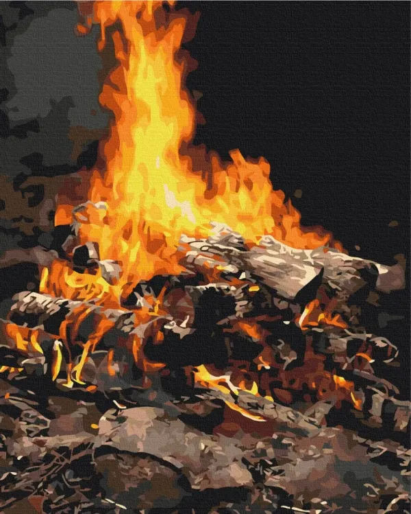 Картина за номерами "Багаття" BS21741 40×50 см