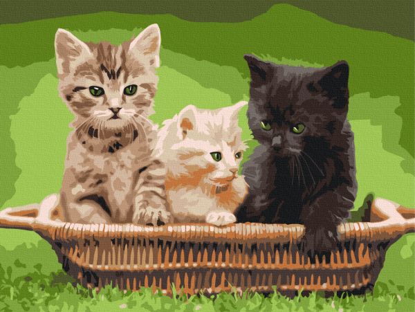 Картина по номерам "Котята в корзине"