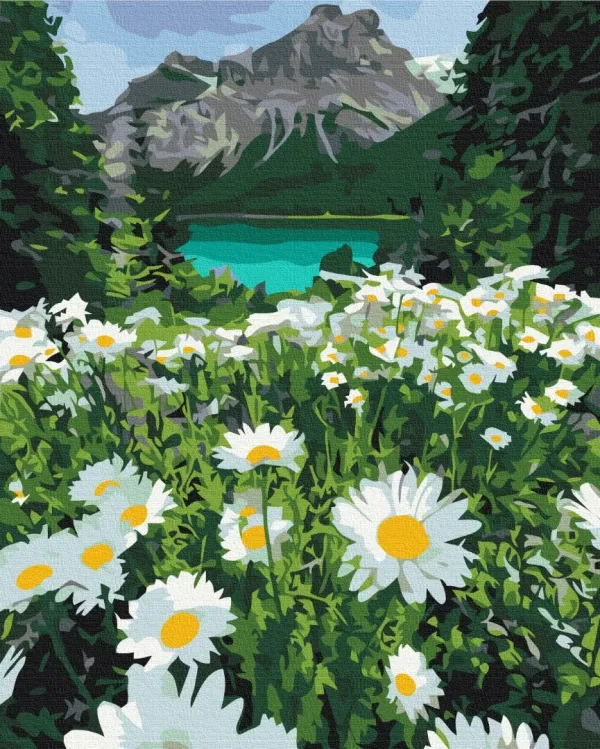 Картина за номерами "Ромашки біля гір" BS29451 40×50 см