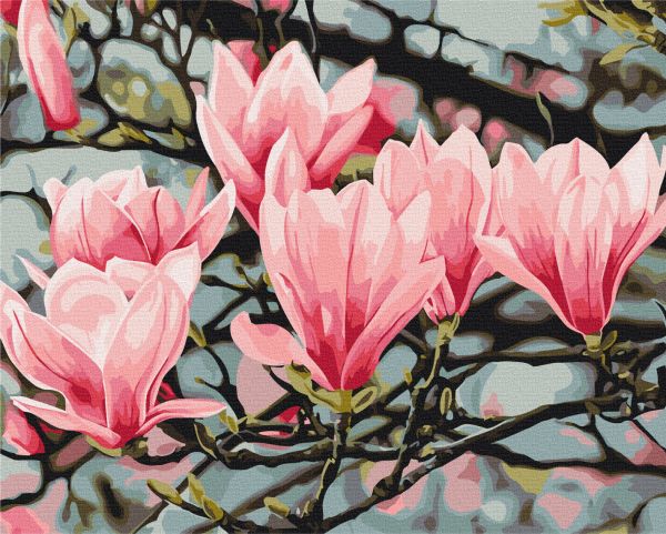Картина по номерам "Цвет магнолии © Anastasiia Osmolovska"
