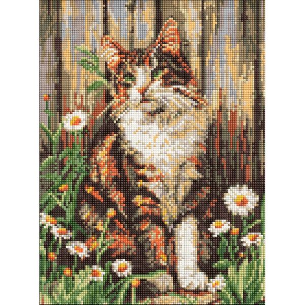 Алмазная мозаика "Взгляд милого кота" ©art_selena_ua AMO20351, 30х40 см