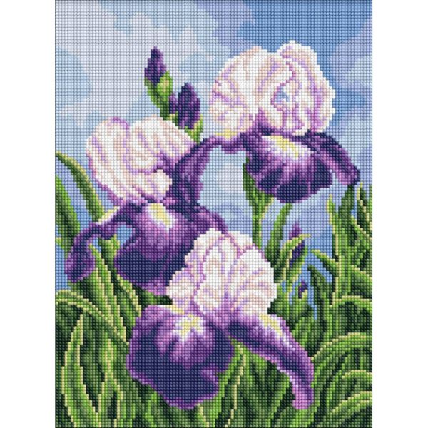 Алмазная мозаика "Ирисы под открытым небом" ©art_selena_ua AMO20470, 30х40 см
