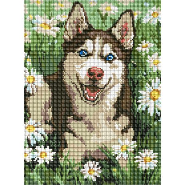 Алмазная мозаика "Хаски в цветочках" ©art_selena_ua AMO20472, 30х40 см