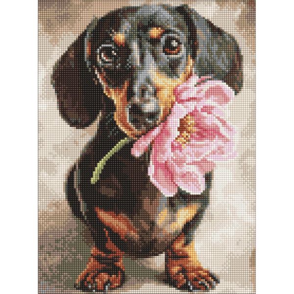 Алмазная мозаика "Песик и сюрприз" ©art_selena_ua AMO20219, 30х40 см