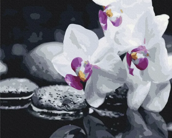 Картина за номерами "Квіти дзену" BS21140 40×50 см