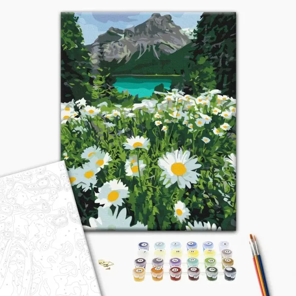 Картина за номерами "Ромашки біля гір" BS29451 40×50 см