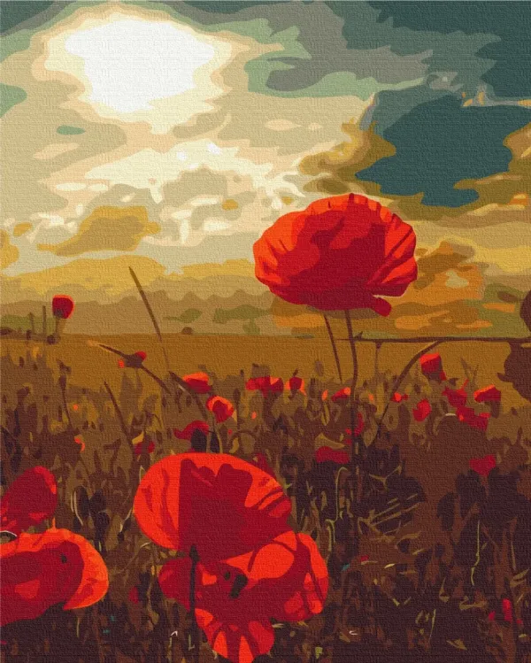 Картина за номерами "Маки під палаючим сонцем" BS51961 40×50 см