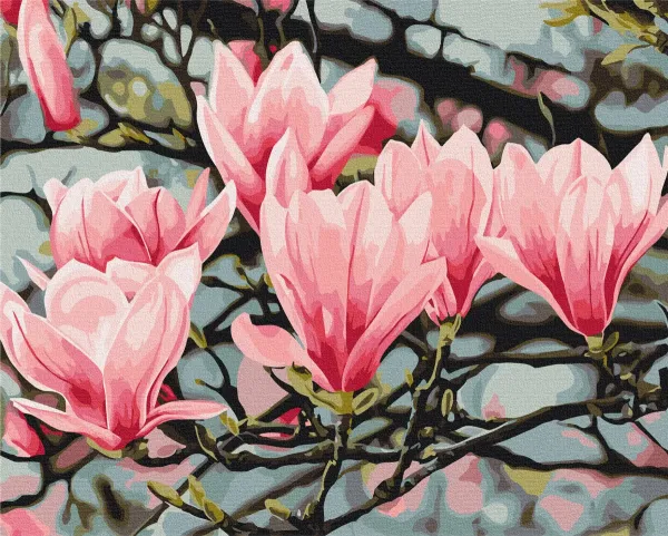 Картина за номерами "Цвіт магнолії © Anastasiia Osmolovska" BS54135 40×50 см