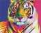 Картина за номерами "Тигр в стилі поп арт" BS9203 40×50 см